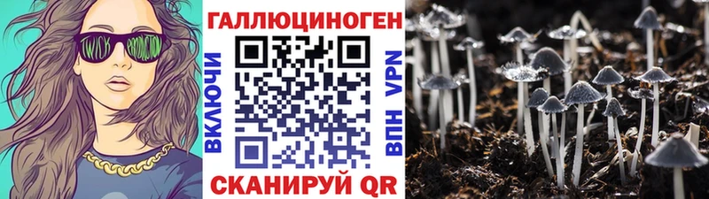 дарнет шоп  Шатура  OMG сайт  Галлюциногенные грибы Psilocybine cubensis 