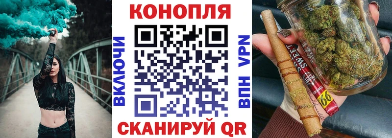 Бошки марихуана THC 21%  где найти   Шатура 